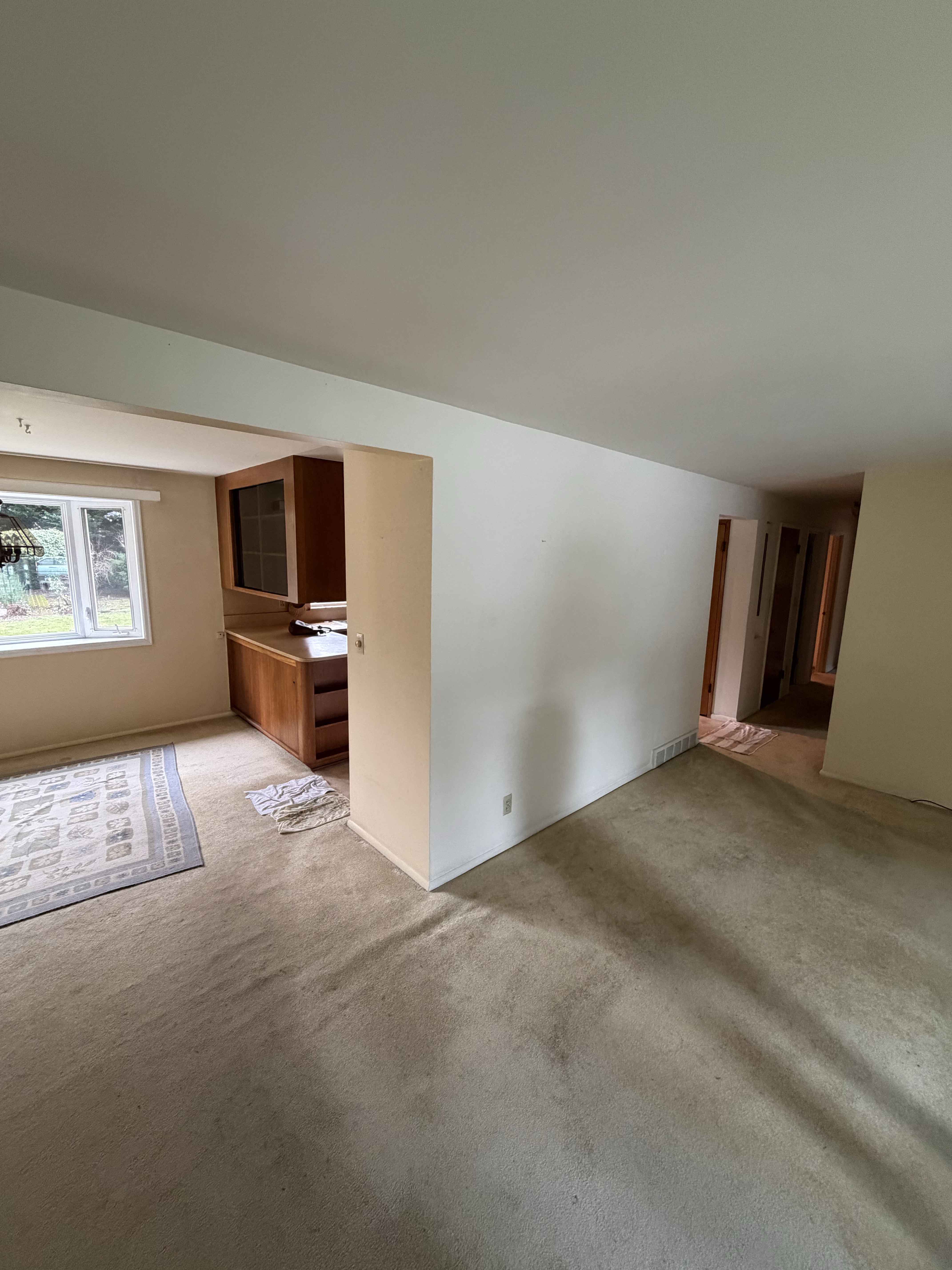 Kitchen Renovation